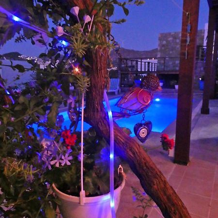 Villa Priene - Gumusluk Private Pool Екстериор снимка