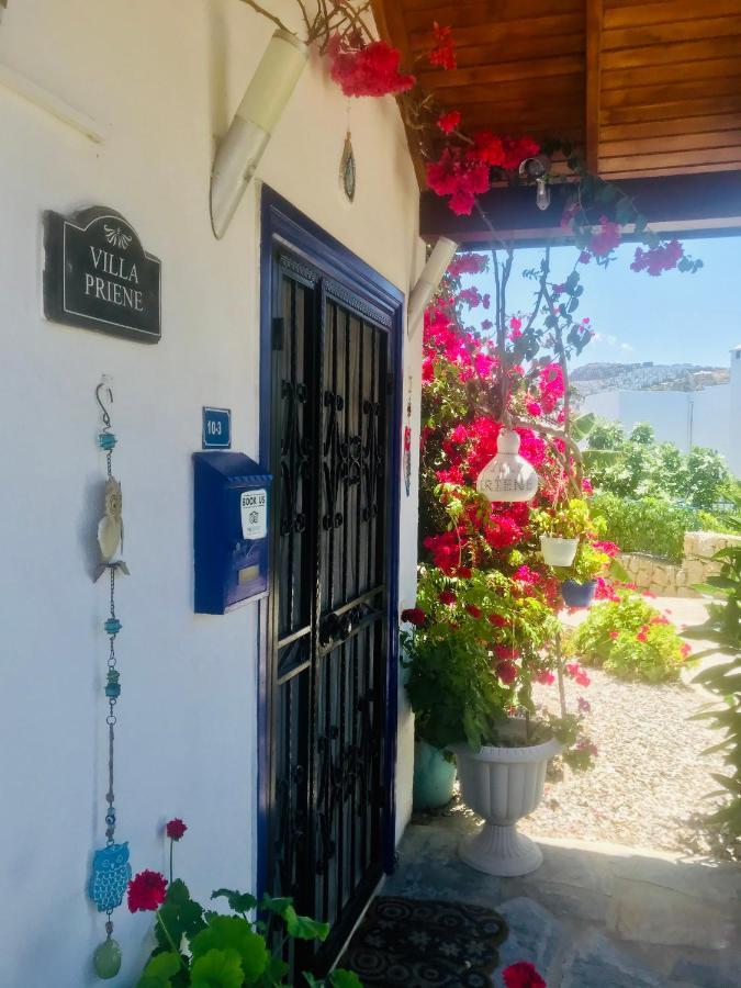 Villa Priene - Gumusluk Private Pool Екстериор снимка