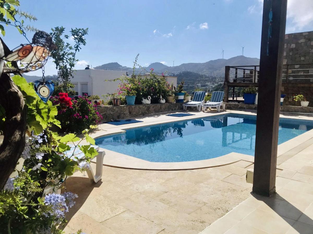 Villa Priene - Gumusluk Private Pool Екстериор снимка