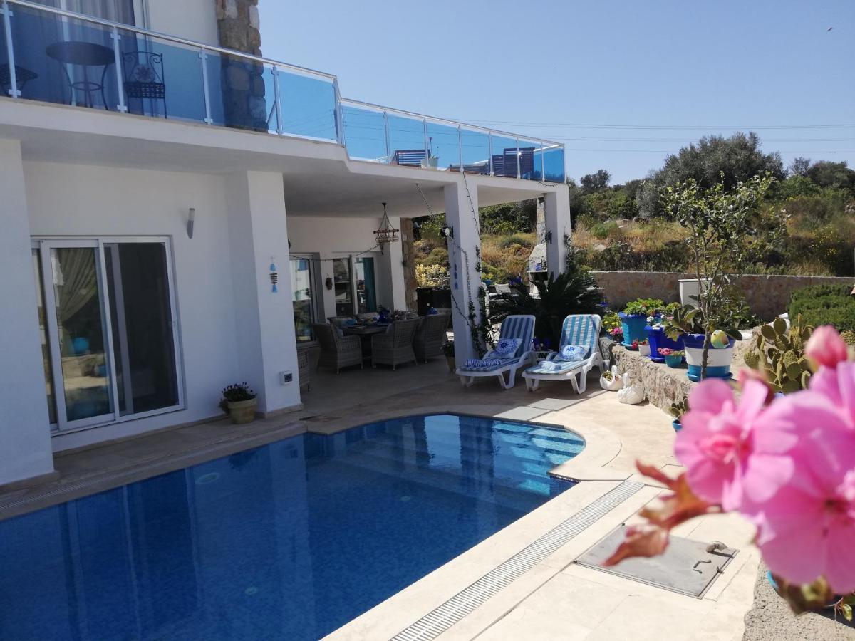 Villa Priene - Gumusluk Private Pool Екстериор снимка