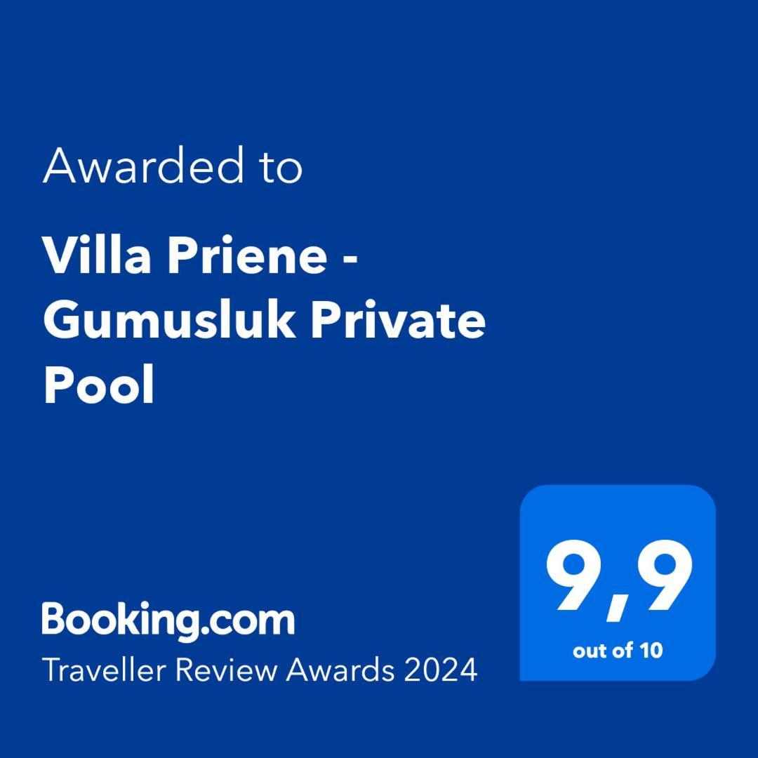 Villa Priene - Gumusluk Private Pool Екстериор снимка